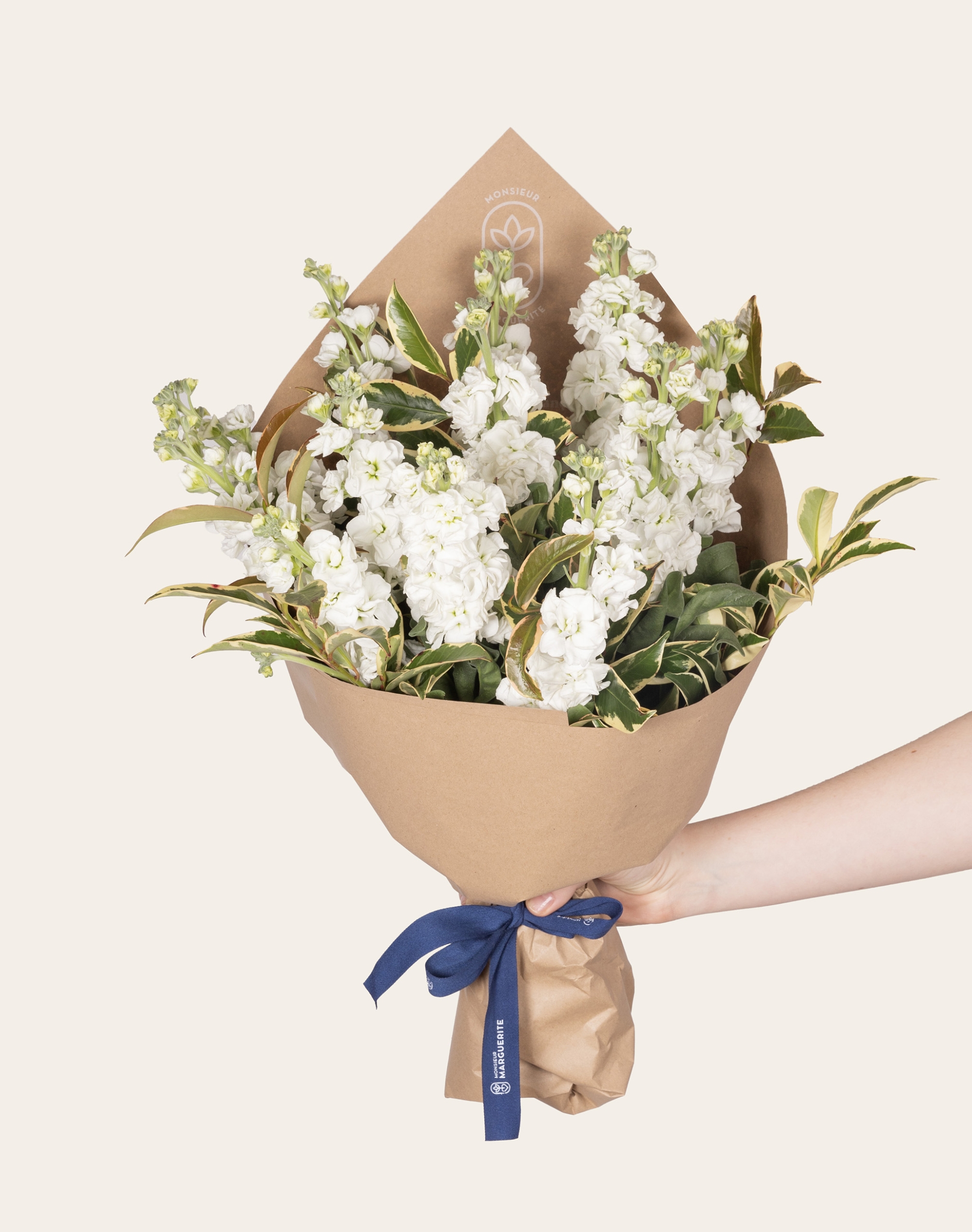 Bouquet de Giroflées blanches et son feuillage panaché