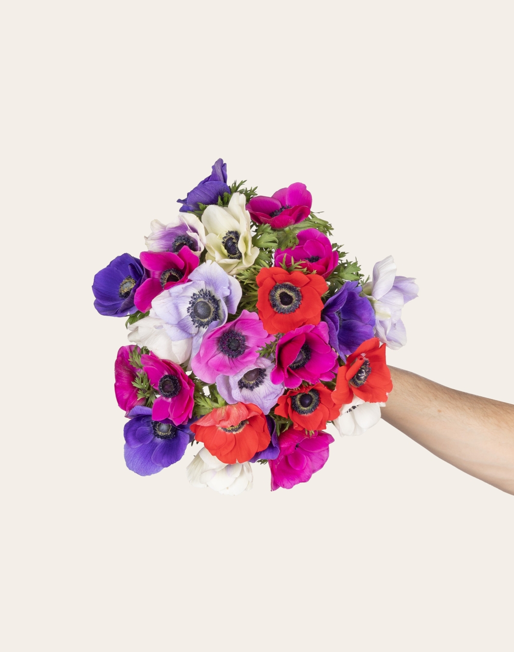 Botte surprise d'Anémones