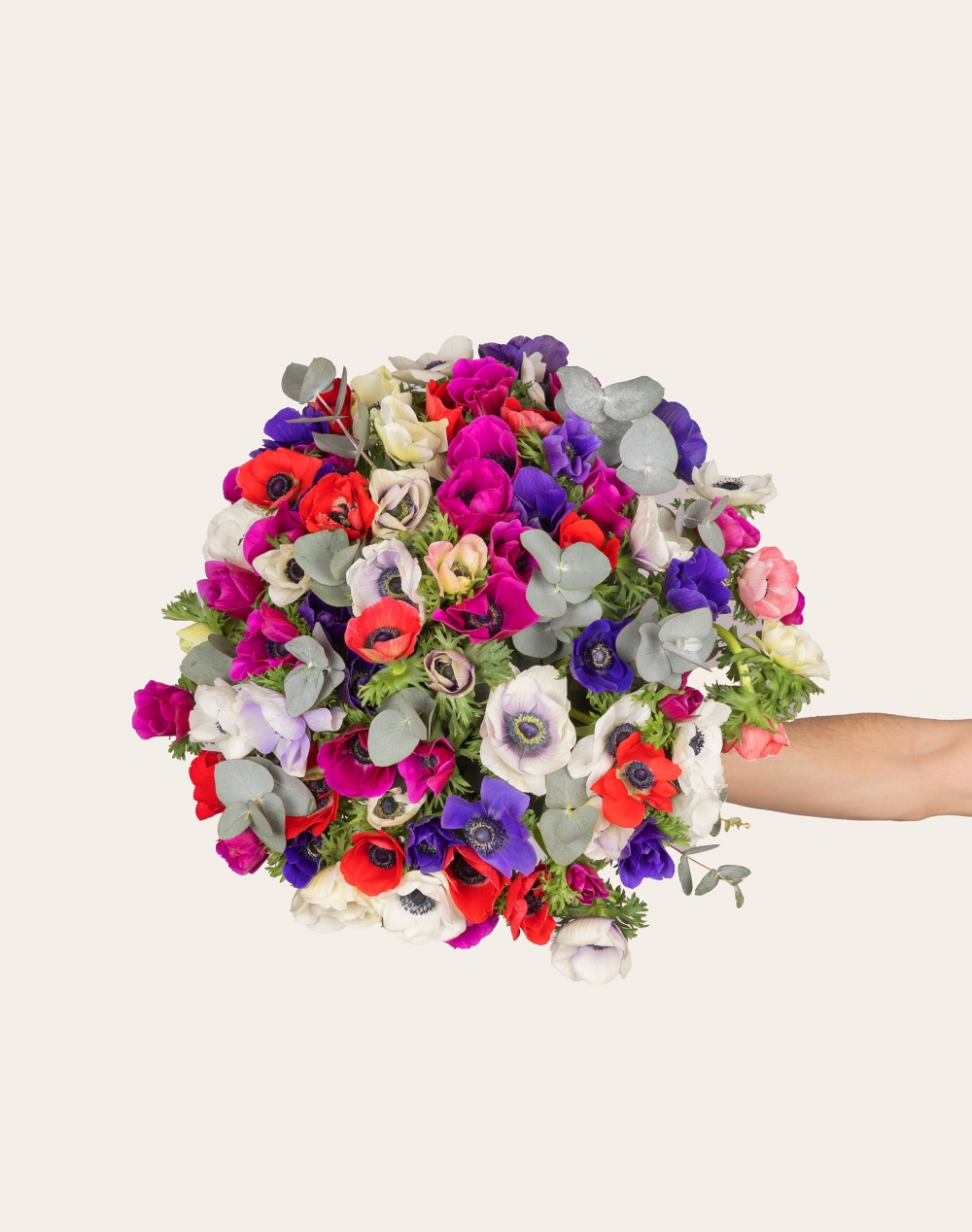 Bouquet d'exception d'Anémones Multicolore