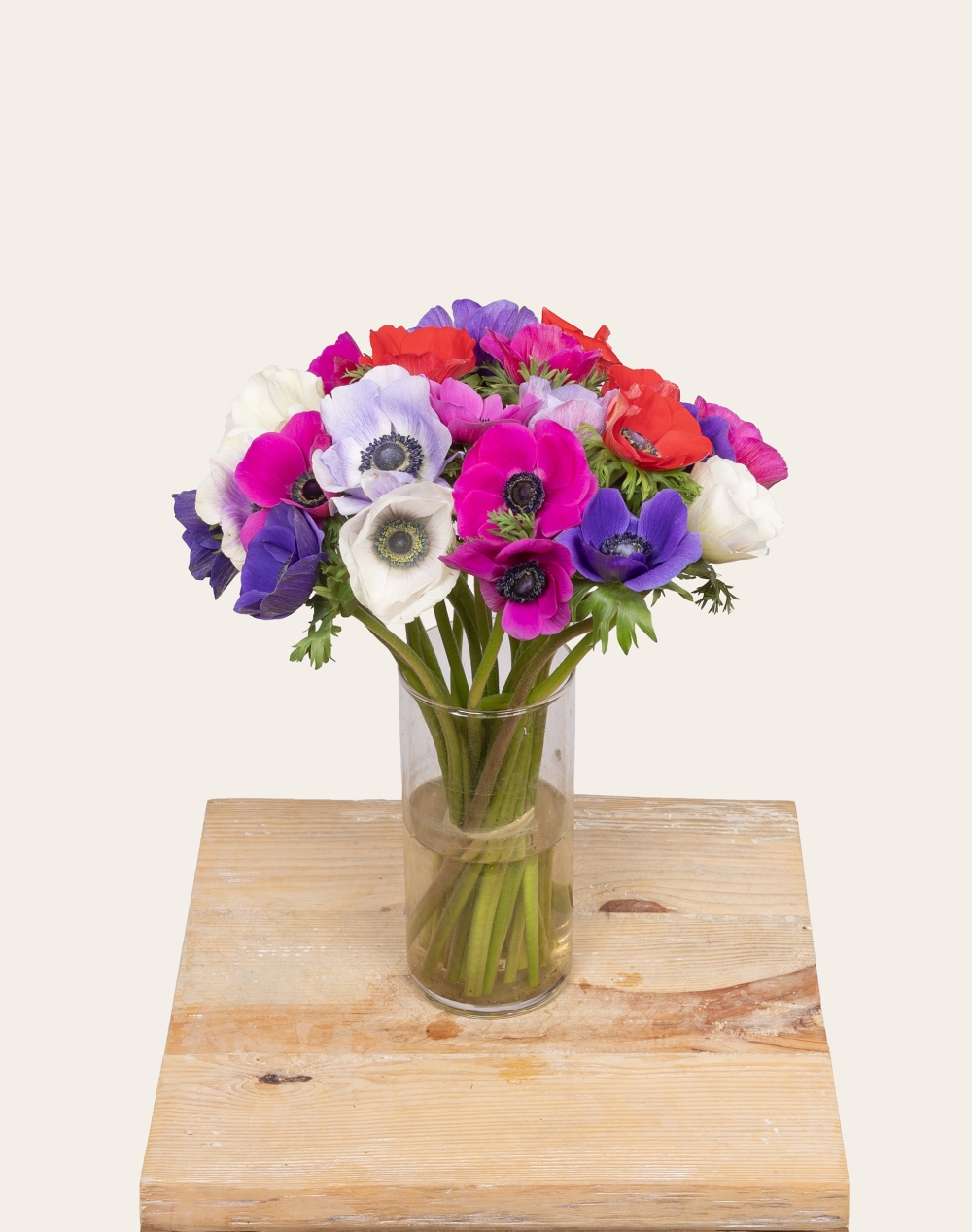 Botte surprise d'Anémones