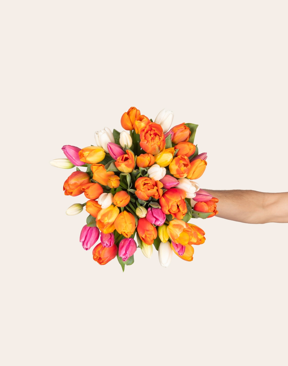 Bouquet de Tulipes - Multicolore