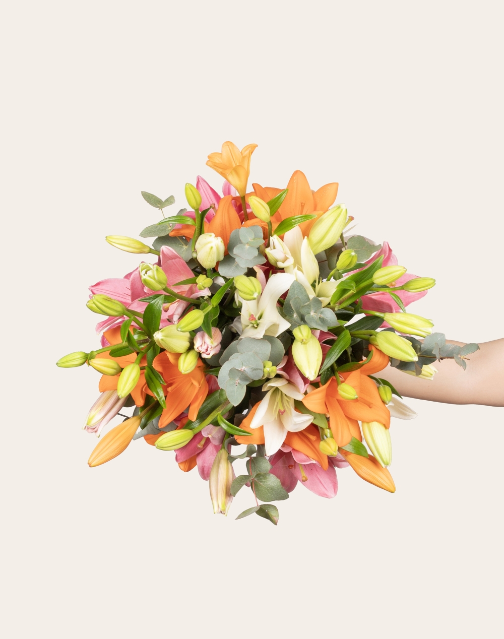 Bouquet de Lys - Multicolore