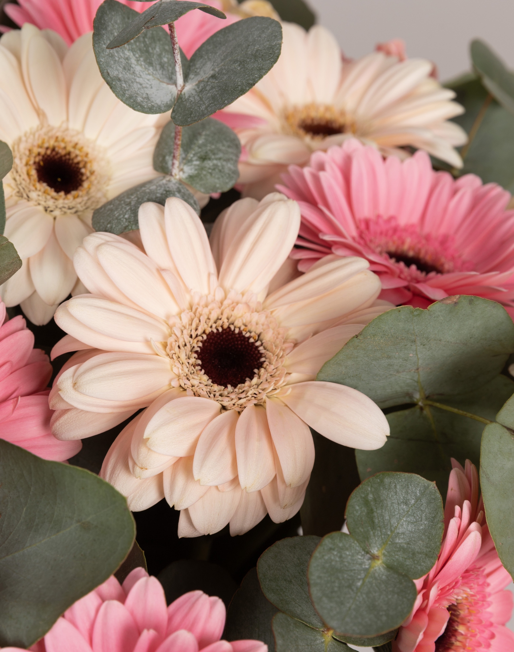 Bouquet de Germinis