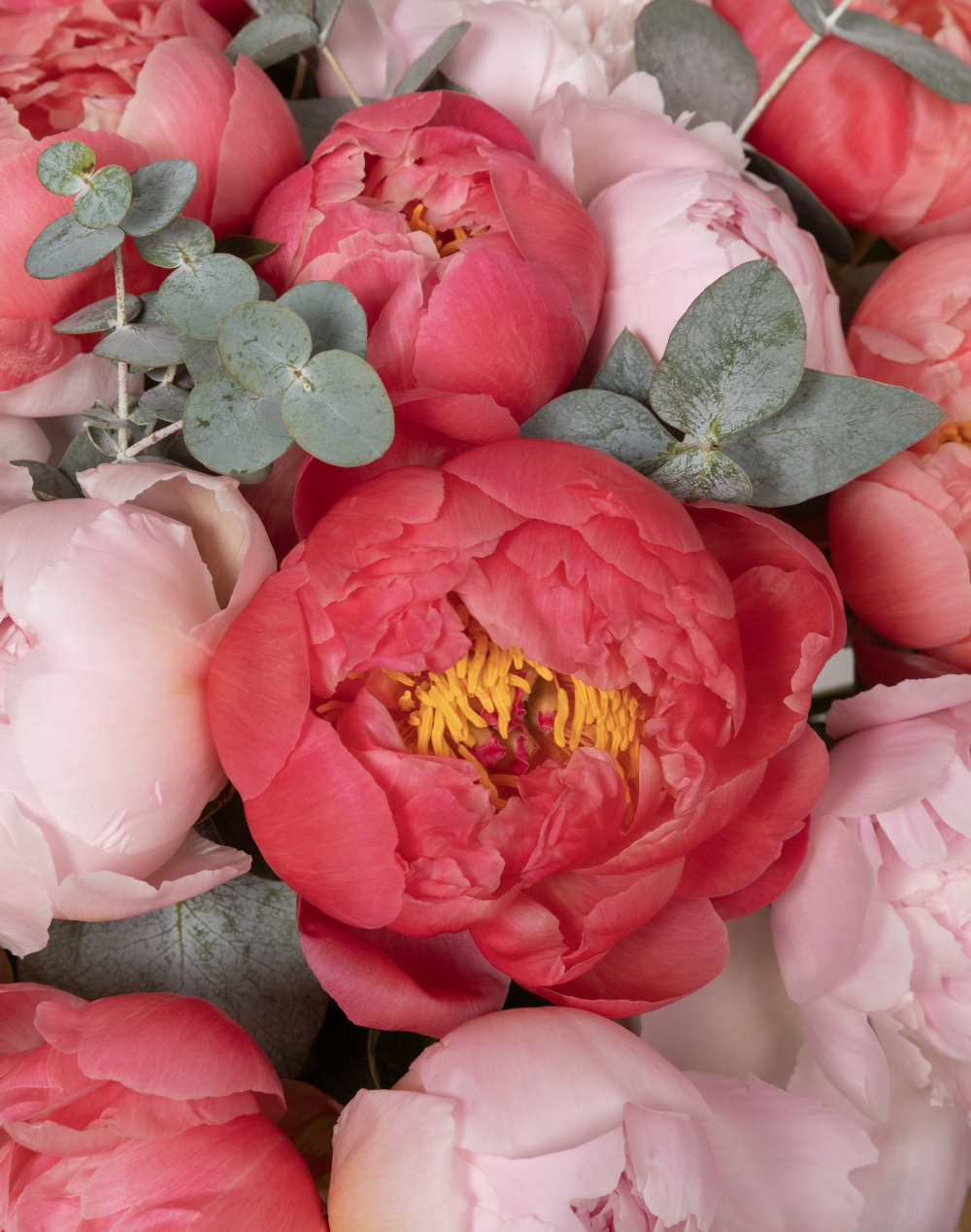 Bouquet d'exception de Pivoines