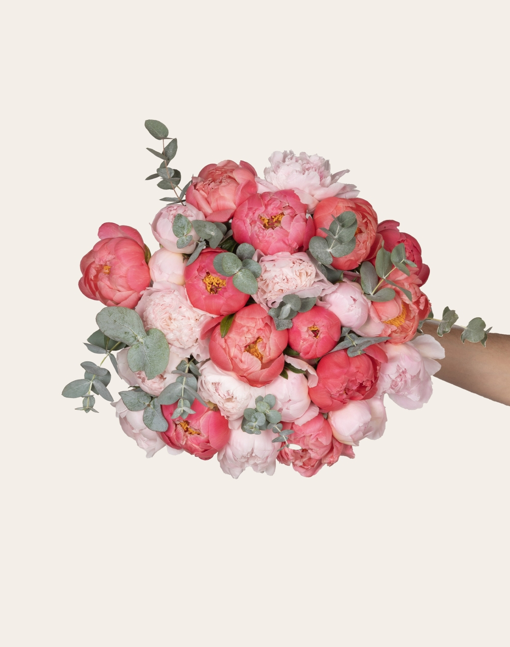 Bouquet d'exception de Pivoines