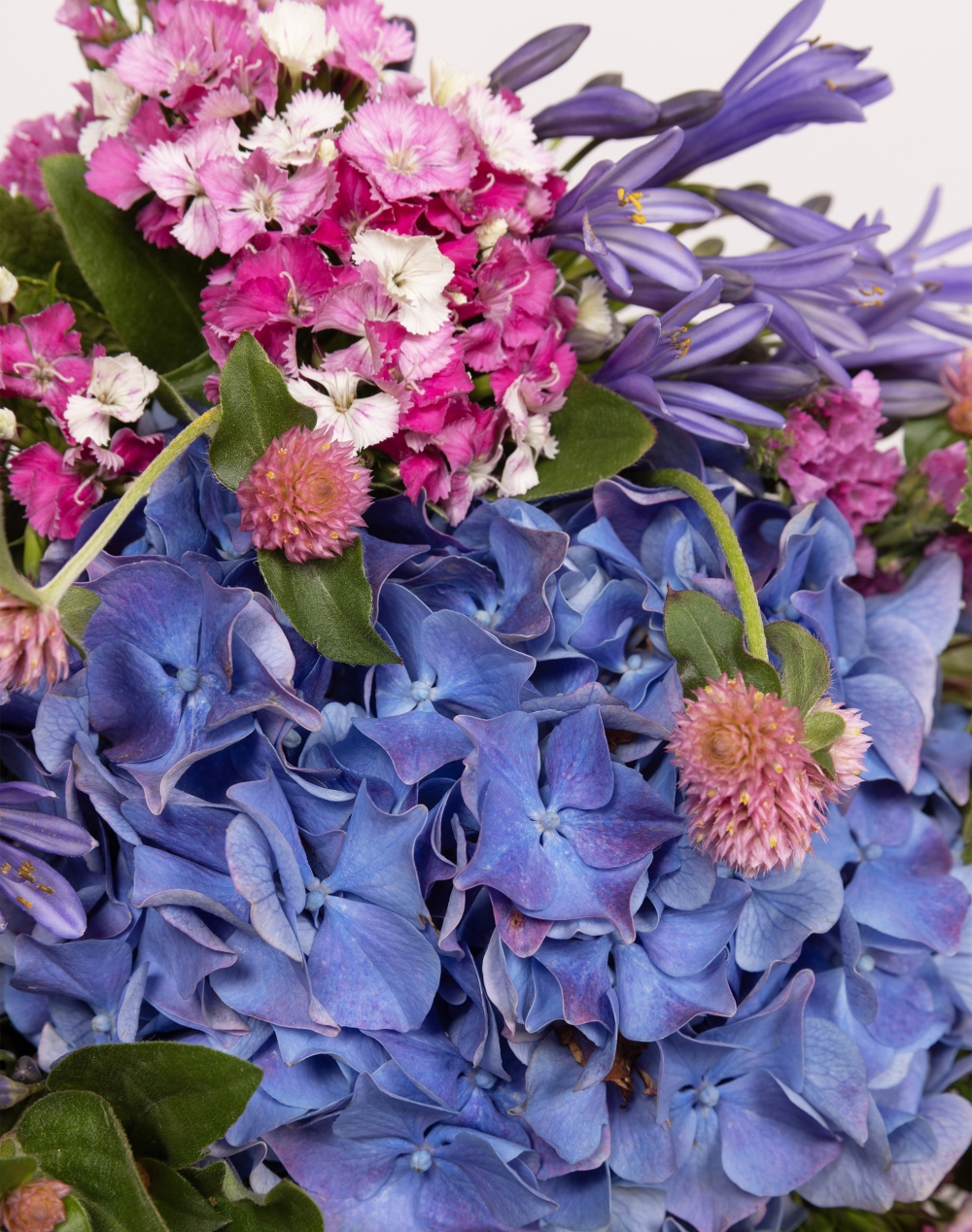 Pack Naissance : Bouquet de fleurs de saison