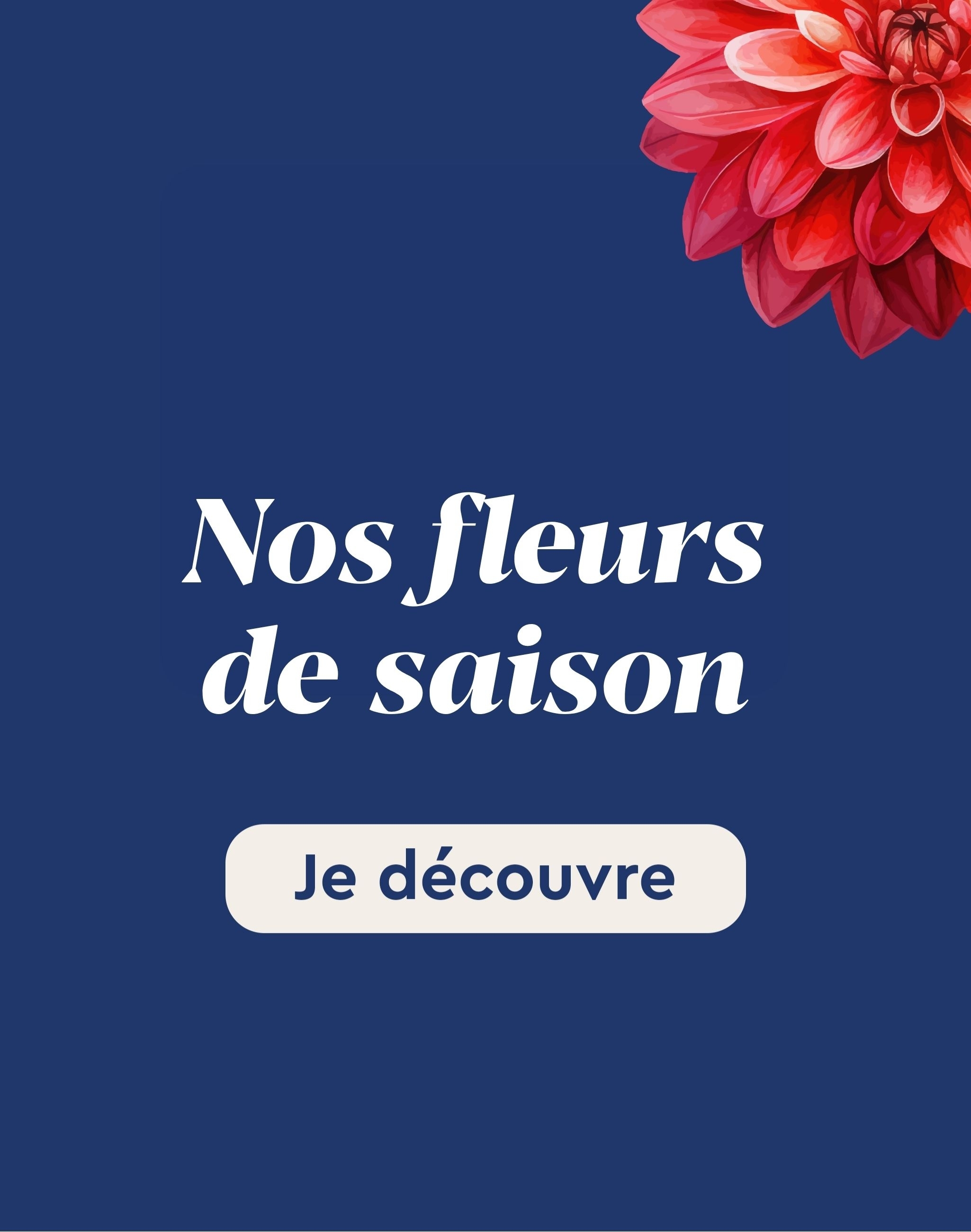 Toutes nos fleurs de saison