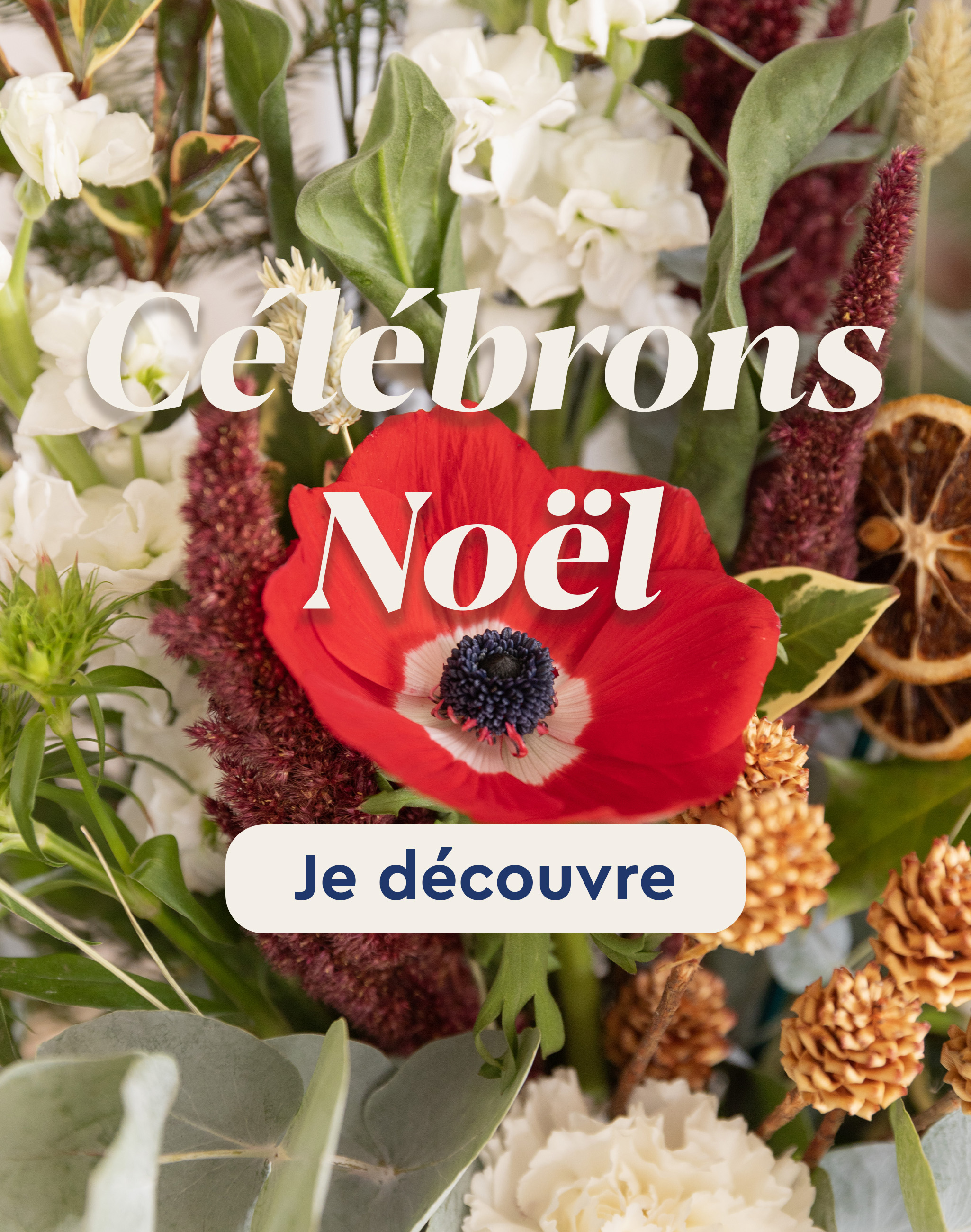 Les fleurs de saison 