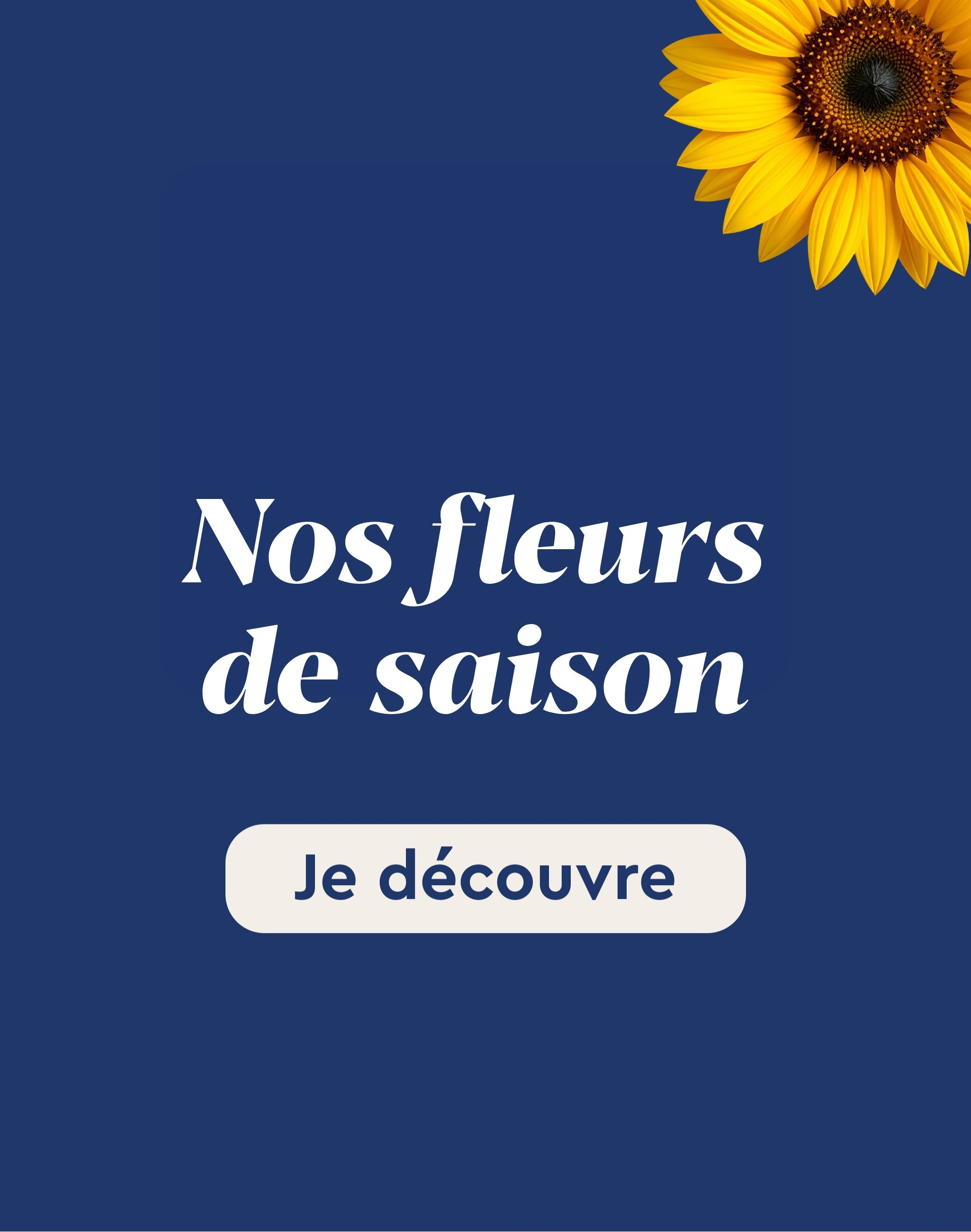 Toutes nos fleurs de saison