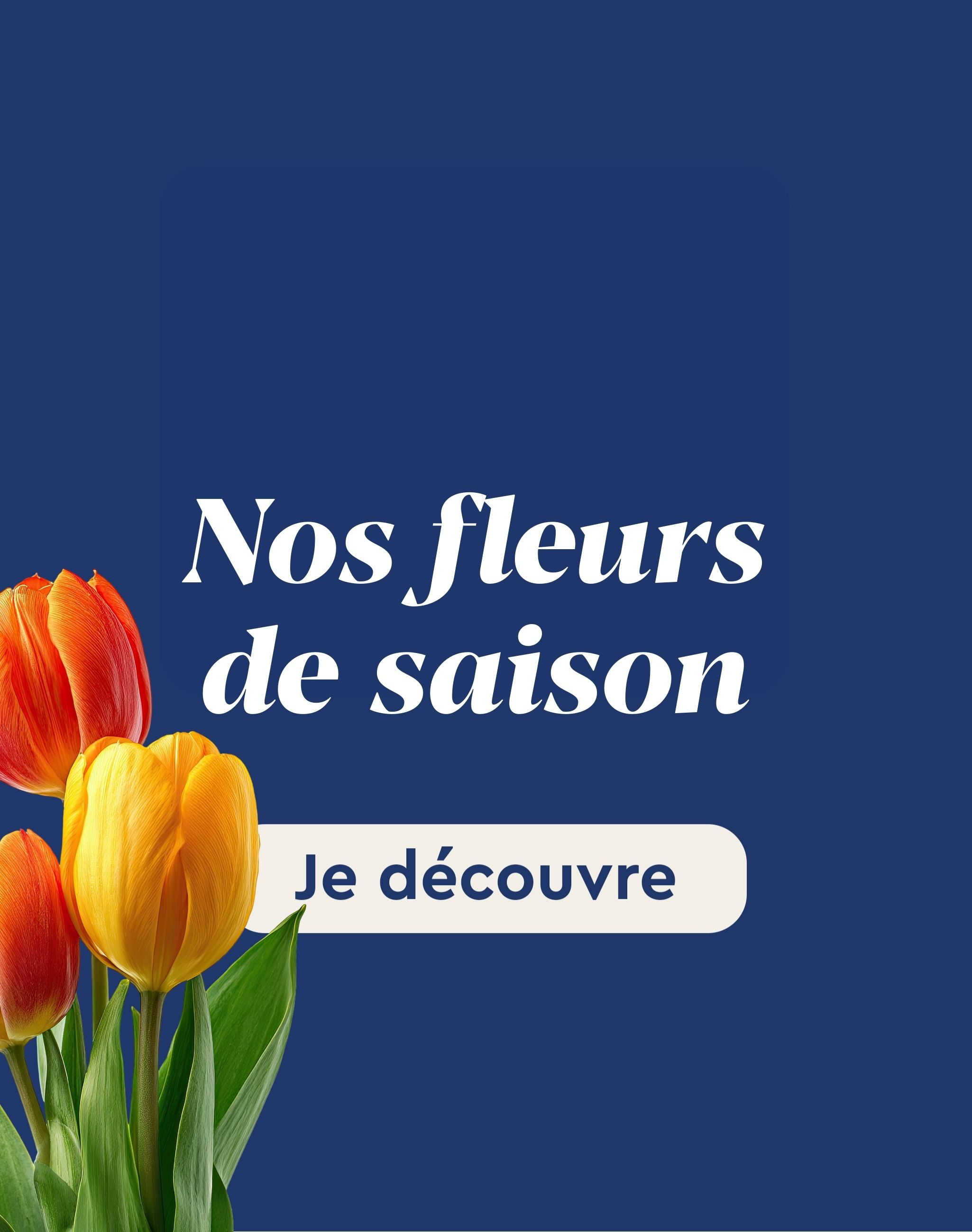 Nos fleurs de saison 