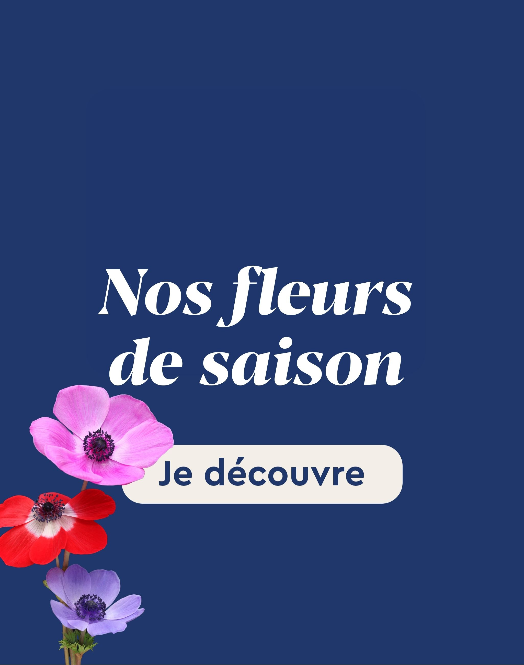Nos fleurs de saison 