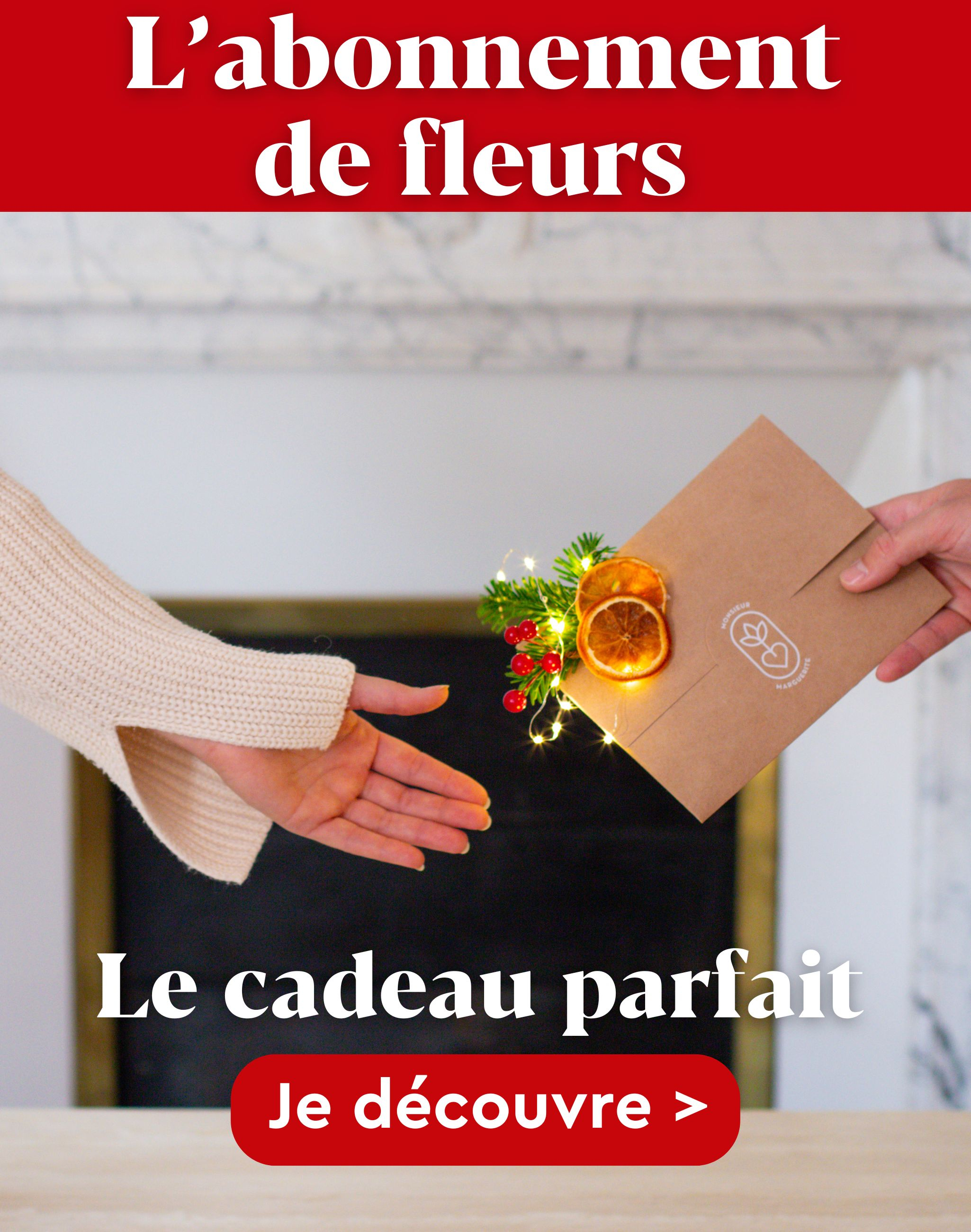 L’abonnement Monsieur Marguerite