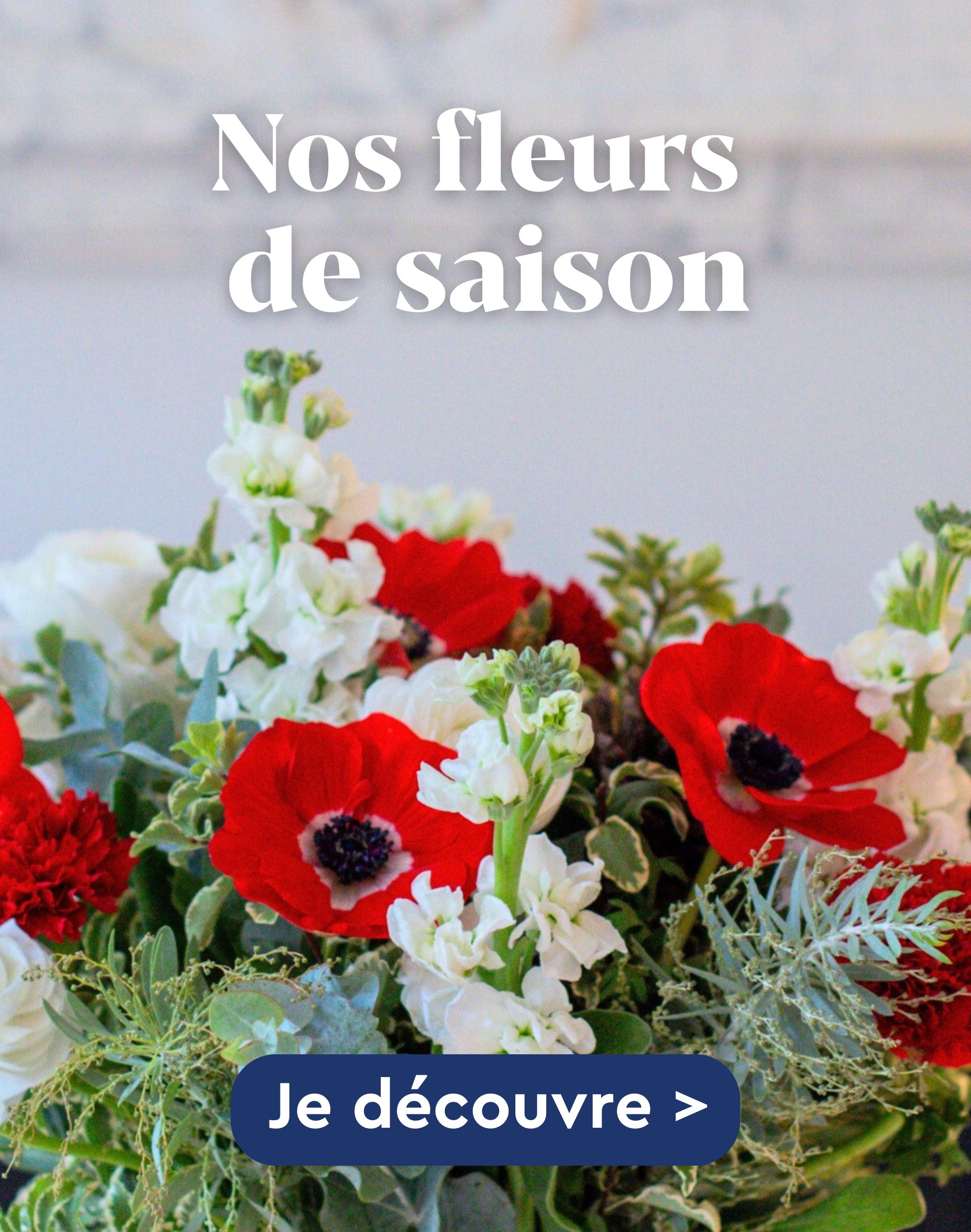 Toutes nos fleurs de saison