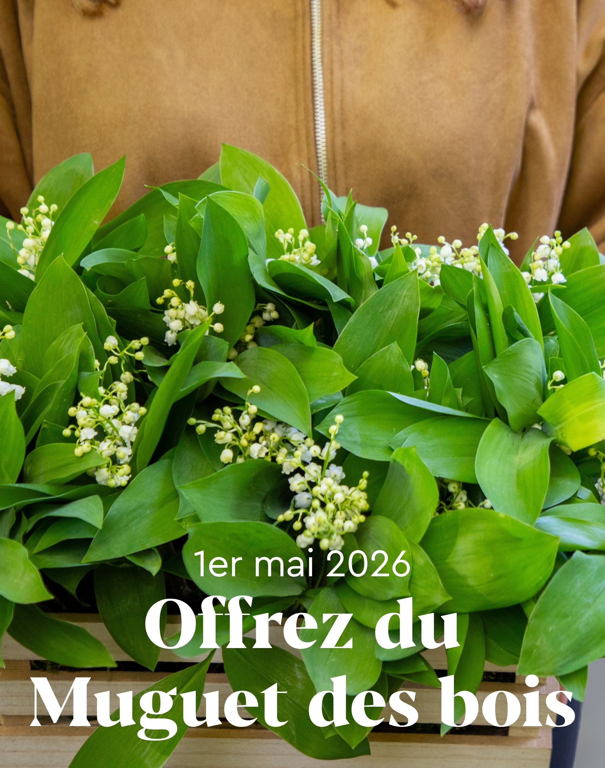 Offrez du Muguet ! 