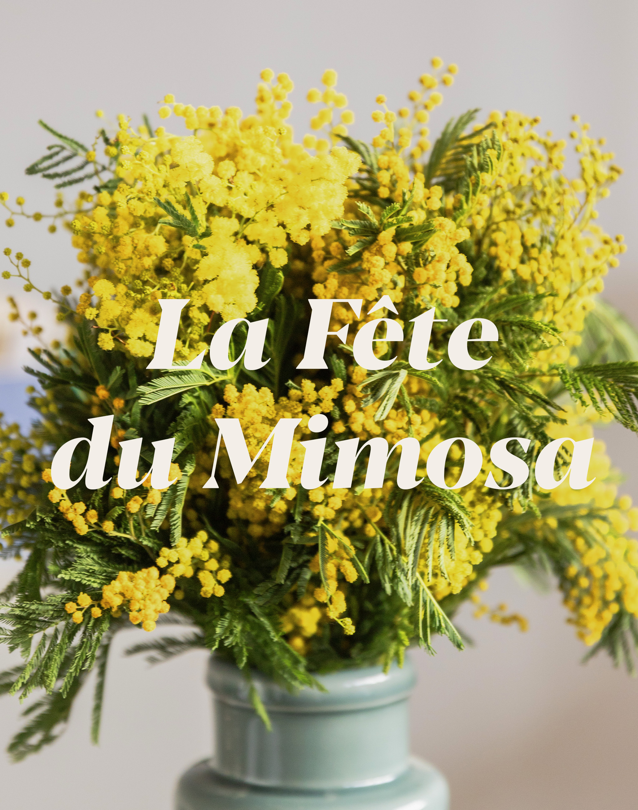 La fête du Mimosa 