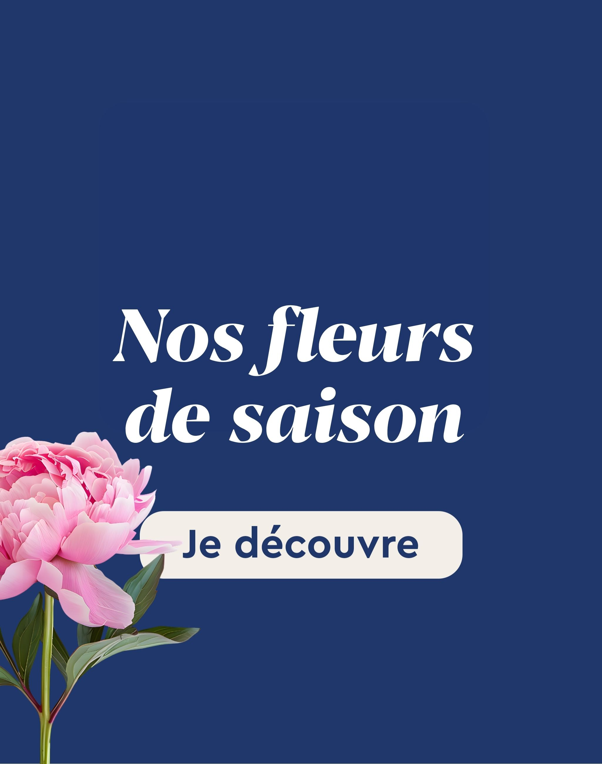 Nos fleurs de saison 