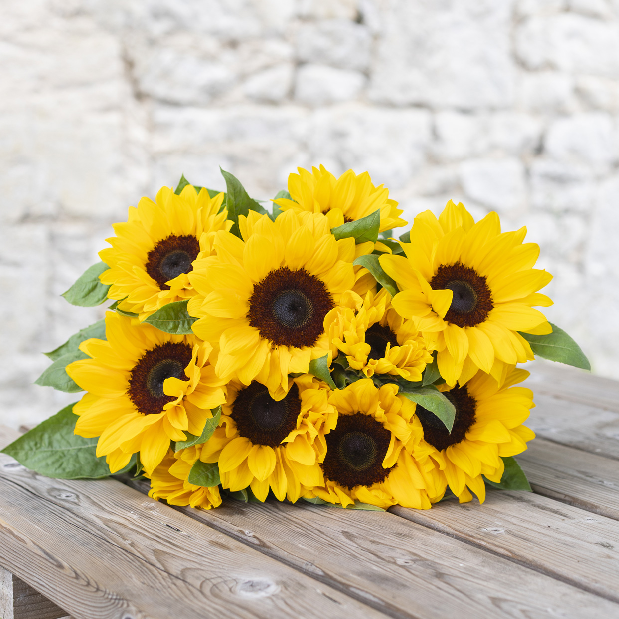 Les plus belles fleurs de saison En direct de nos producteurs