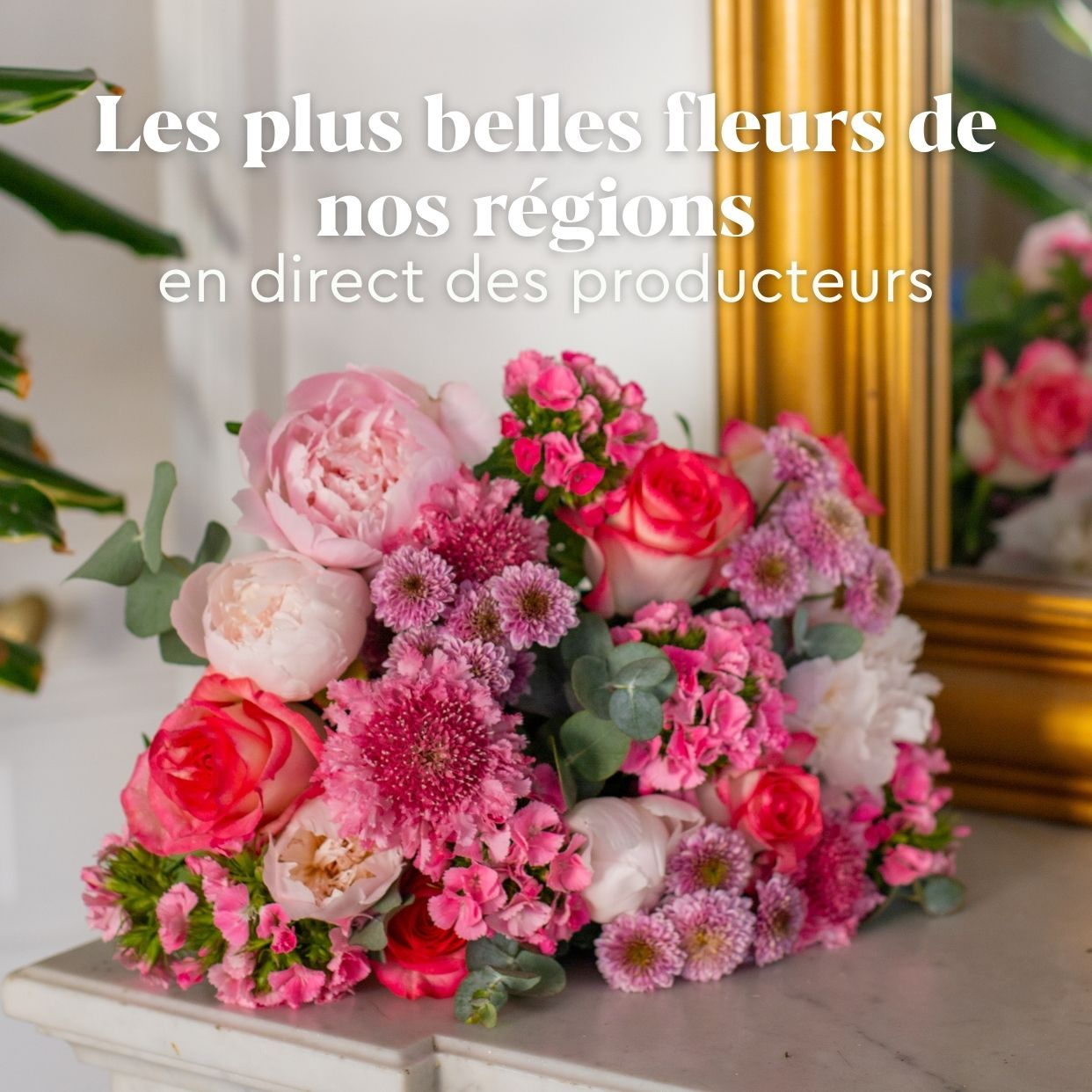 Les plus belles fleurs de saison 