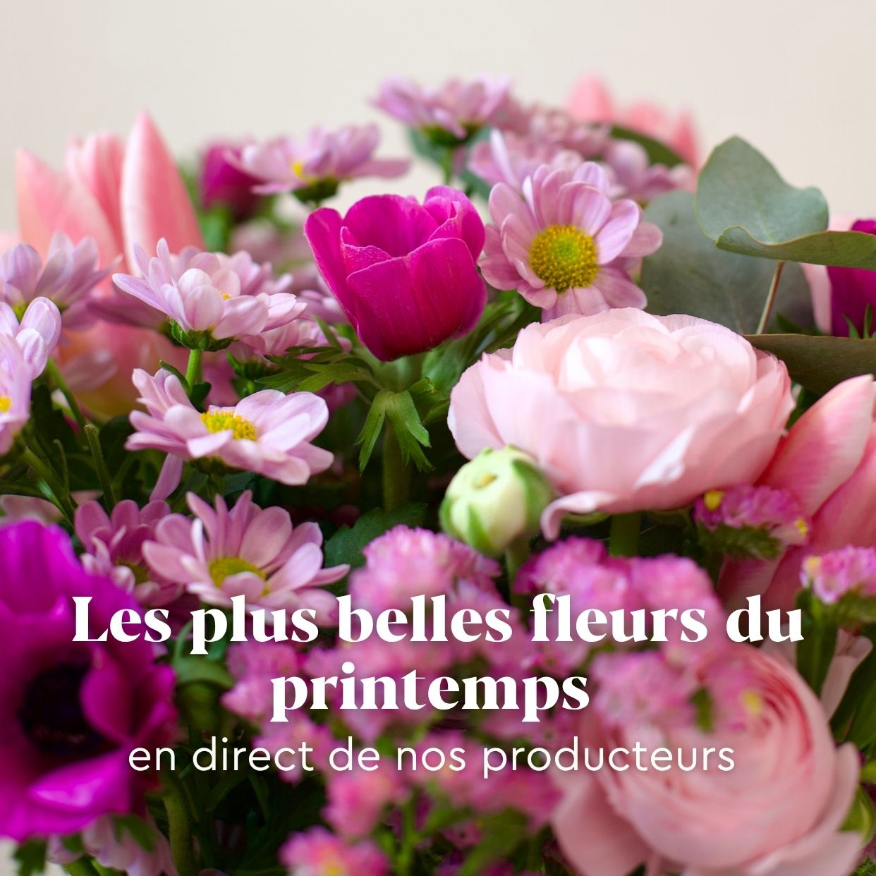 Printemps