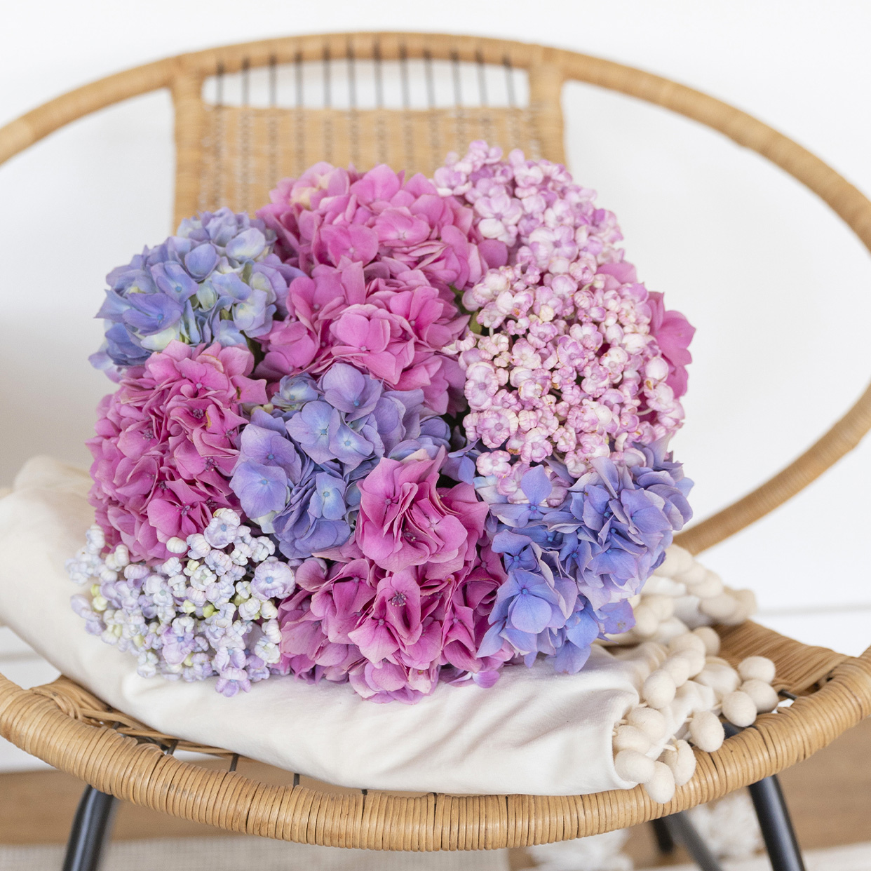 Les plus belles fleurs de saison En direct de nos producteurs