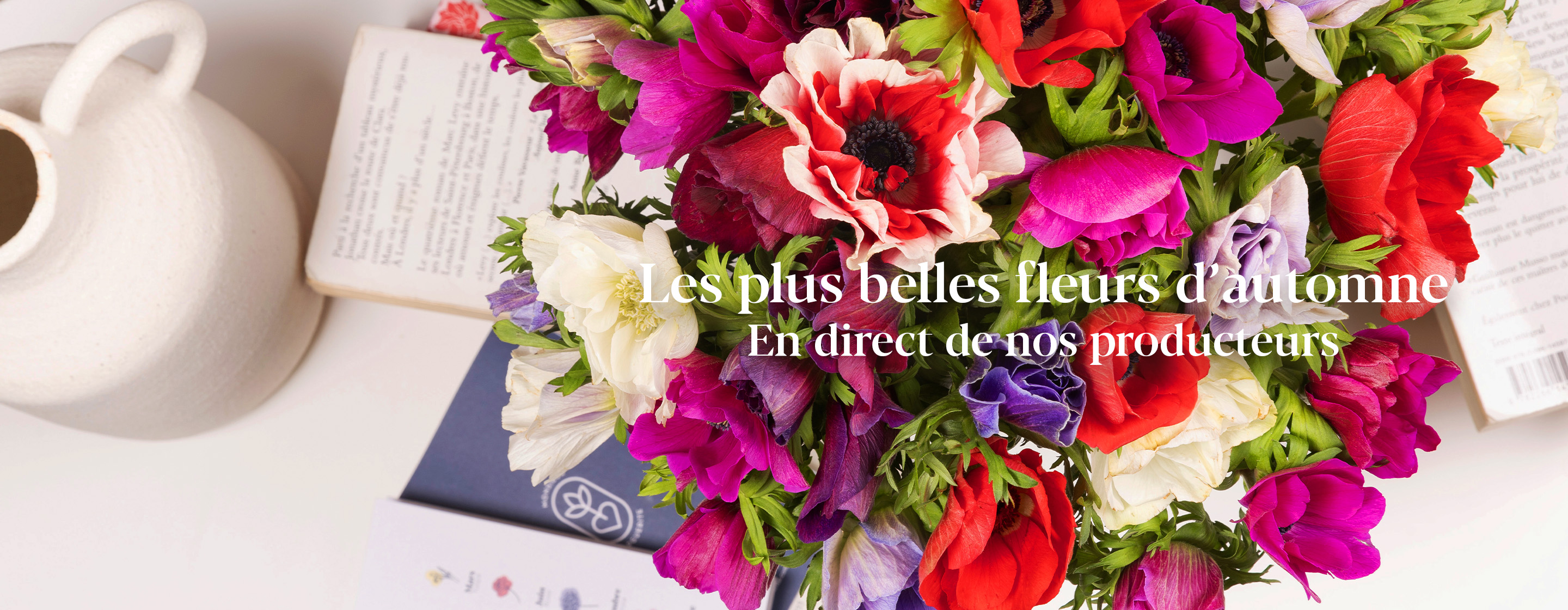 Les plus belles fleurs d’automne 