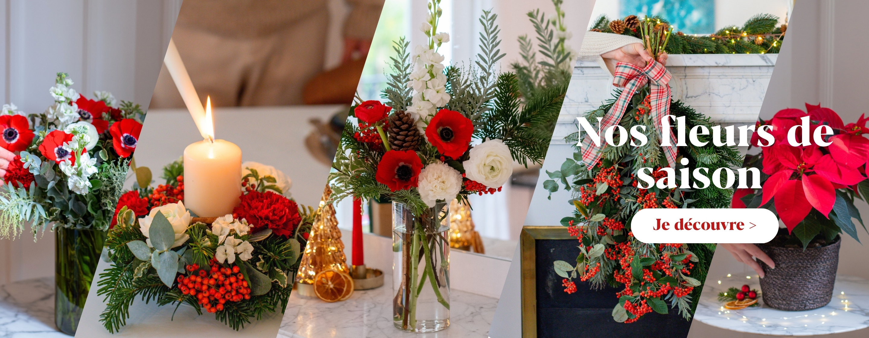 Les plus belles fleurs de saison 