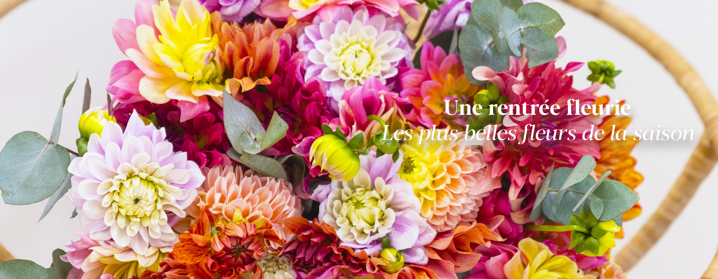 Une rentrée fleurie Les plus belles fleurs de la saison